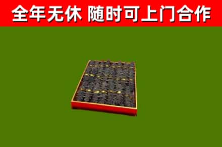 盐源县回收海参